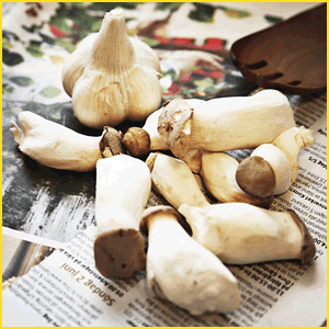 えのきとは?特徴や成分まとめ