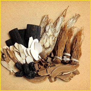 薬用きのこの存在と漢方としての役目