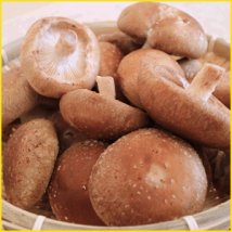 しいたけとは？特徴や成分まとめ